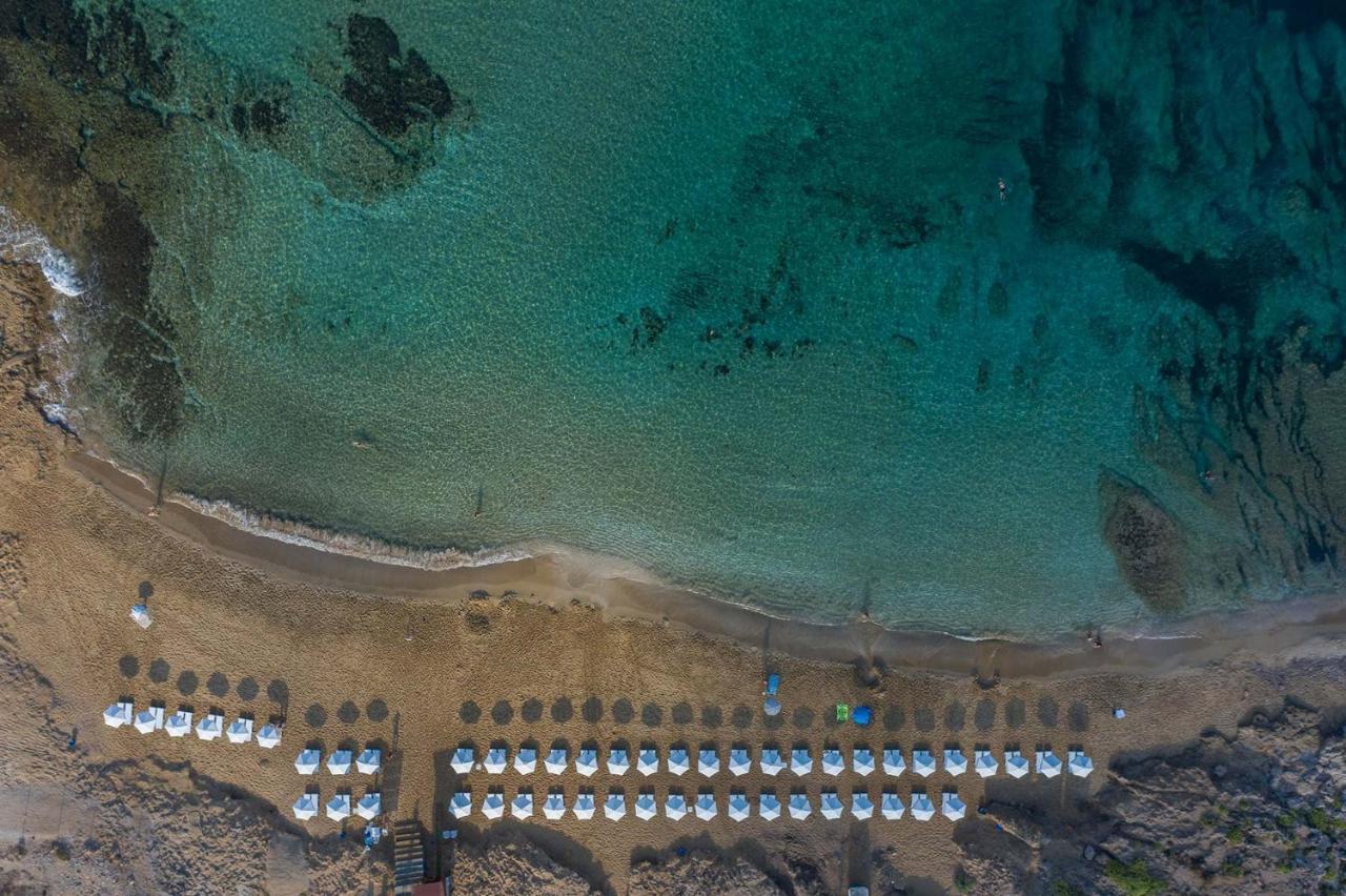 Regina Gardens Lovely Apartment Paphos Esterno foto